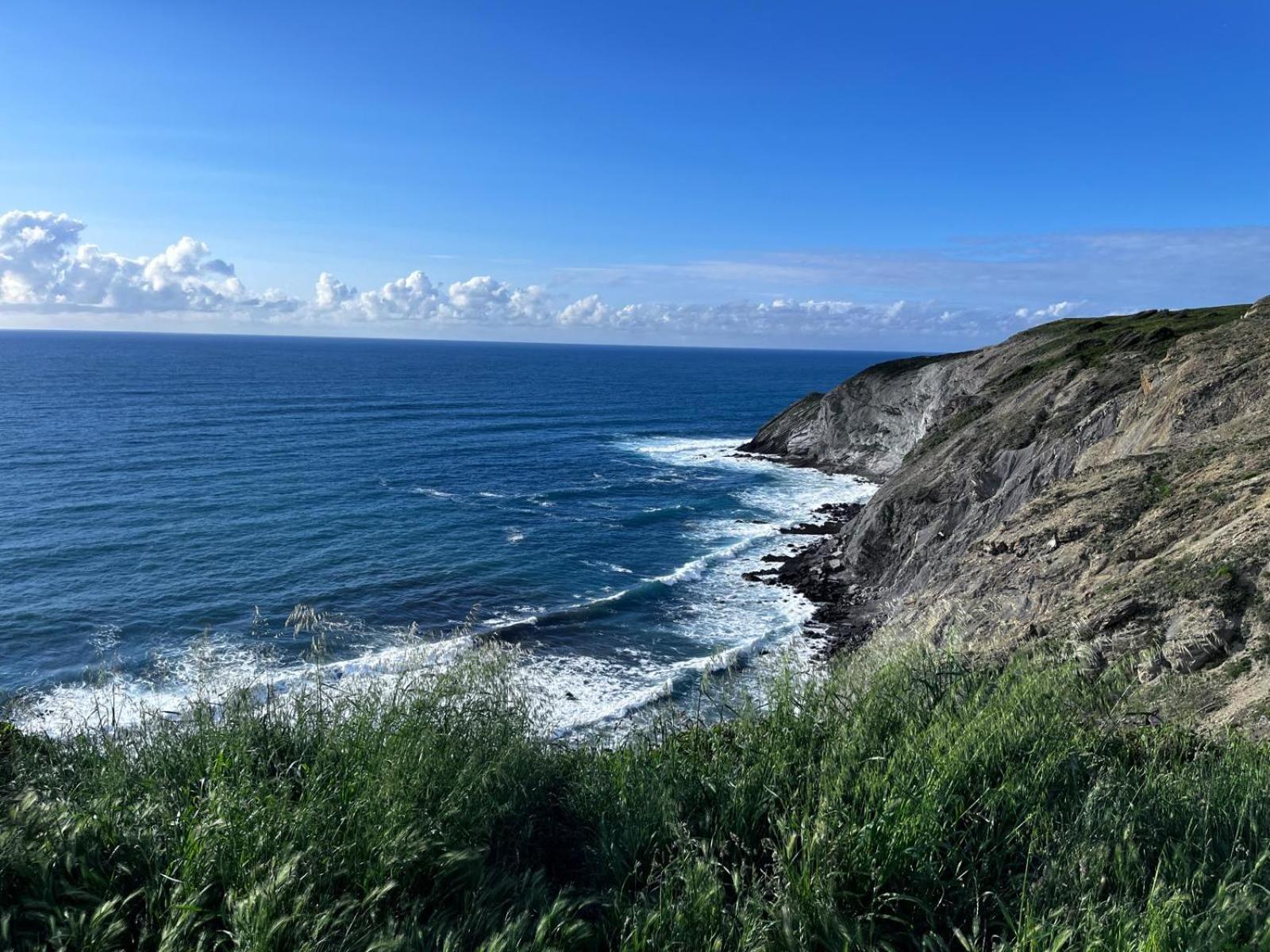 BarrikaTu Refugio Junto Al Mar Te Esperaアパートメント エクステリア 写真